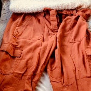 LOFT Cargo Pants NWT